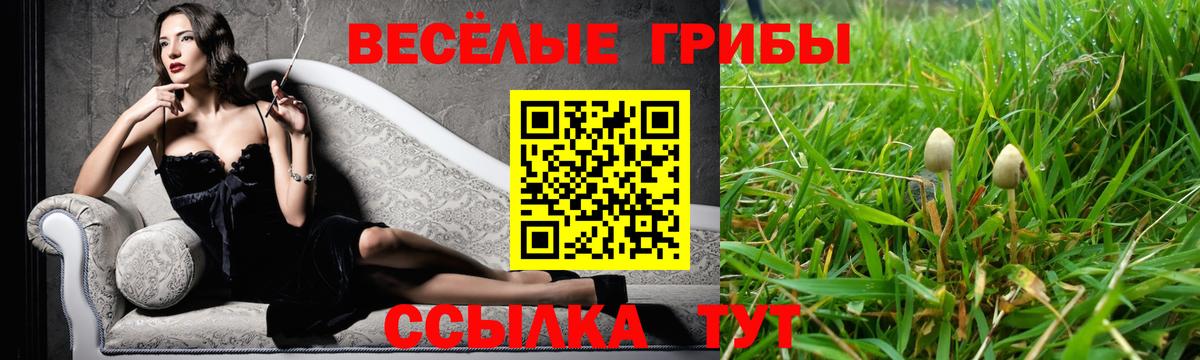 Псилоцибиновые грибы Cubensis Брянск