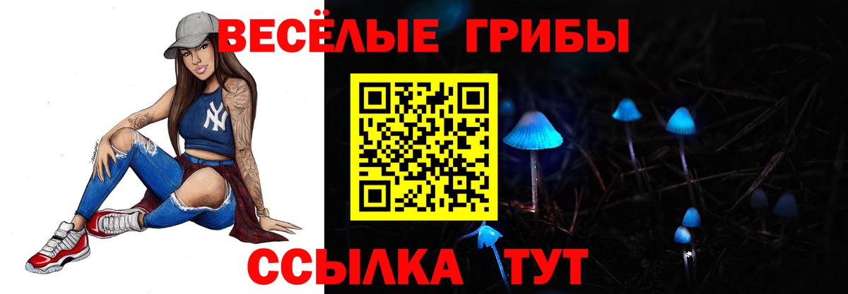 Галлюциногенные грибы прущие грибы  Вход с VPN  Брянск 